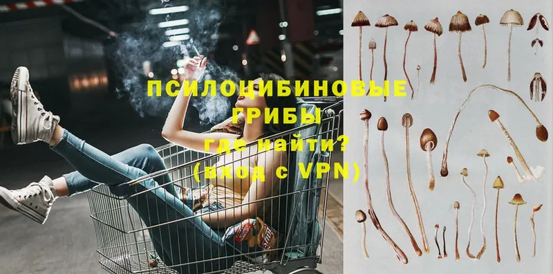 Псилоцибиновые грибы Magic Shrooms  наркошоп  МЕГА рабочий сайт  Торжок 